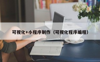 武穴可视化+小程序制作（可视化程序编程）